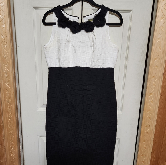 Elegant Black and White Sleeveless Dress - Picture 4 of 11